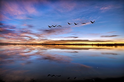 Day 3: When is Atonement Granted?