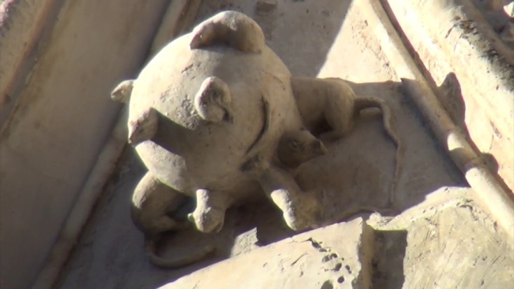 The Mysterious Ball of Rats on the Cathedral in Carpentras